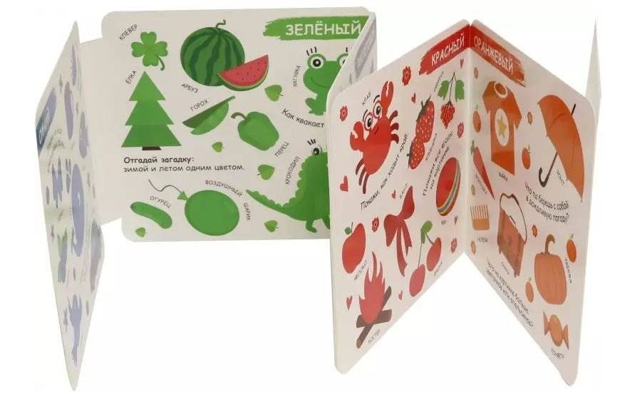 Книжка-гармошка. Цвета фото книги 2