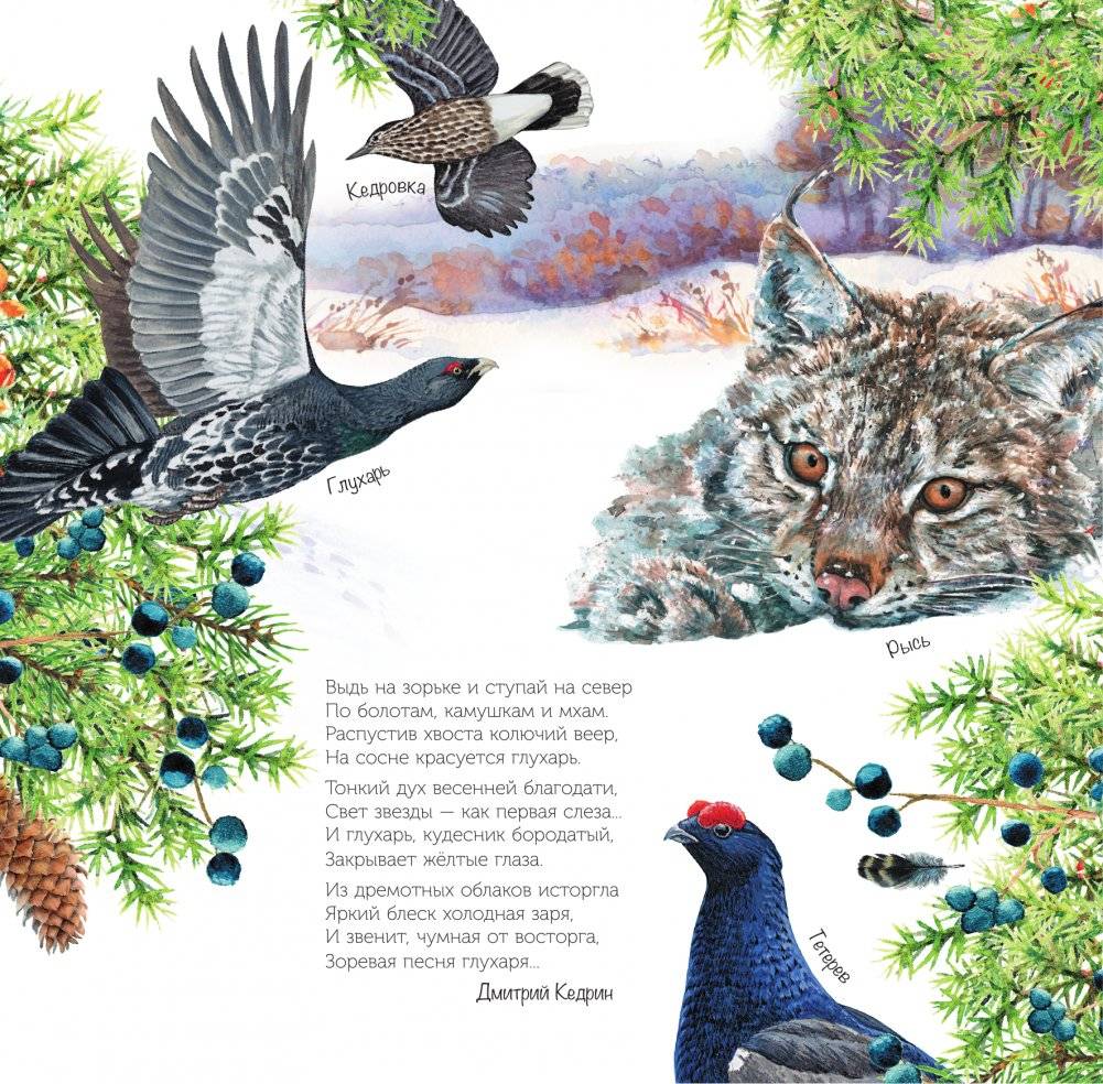 Календарь живой природы с голосами животных. 2025 год фото книги 3