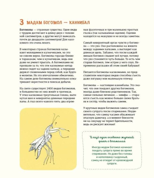 Может ли жираф облизать свои уши? И ещё 319 вопросов о мире вокруг фото книги 4