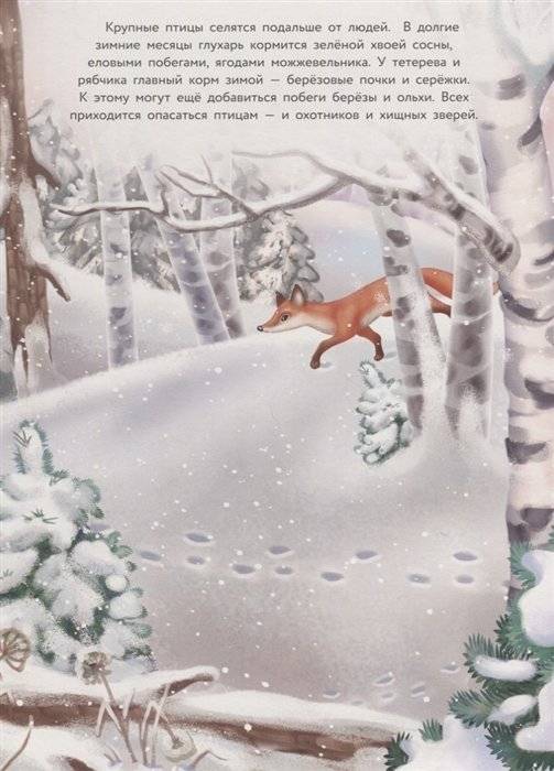 Птички зимой. Дополни картинку фото книги 2