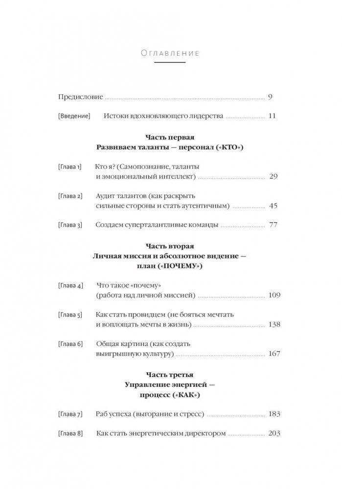 Вдохновляющий лидер. Команда. Смыслы. Энергия фото книги 2