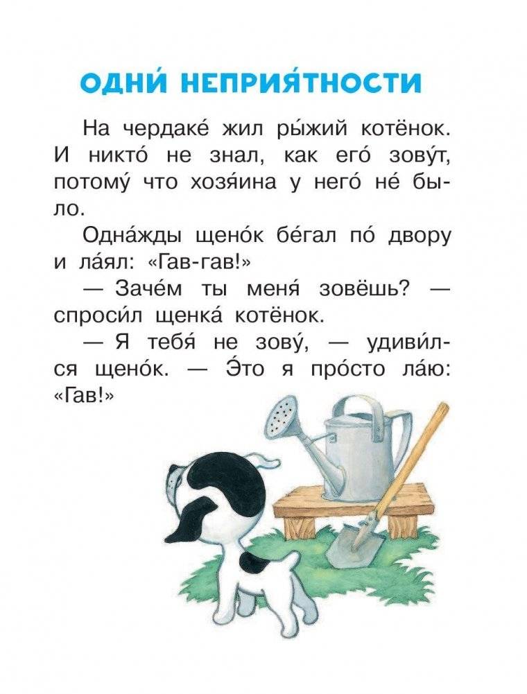 Котёнок по имени Гав фото книги 6