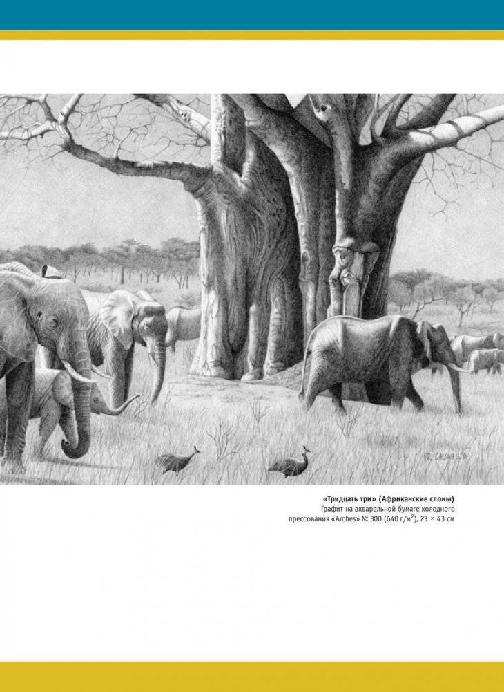 Реалистичные рисунки животных. Дикие звери, домашние питомцы и другие представители фауны фото книги 7