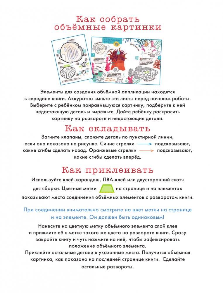 Подводный мир фото книги 2