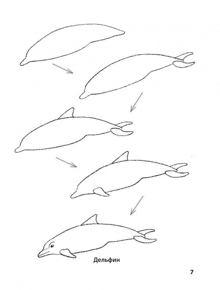 Рисование. Первые шаги фото книги 6