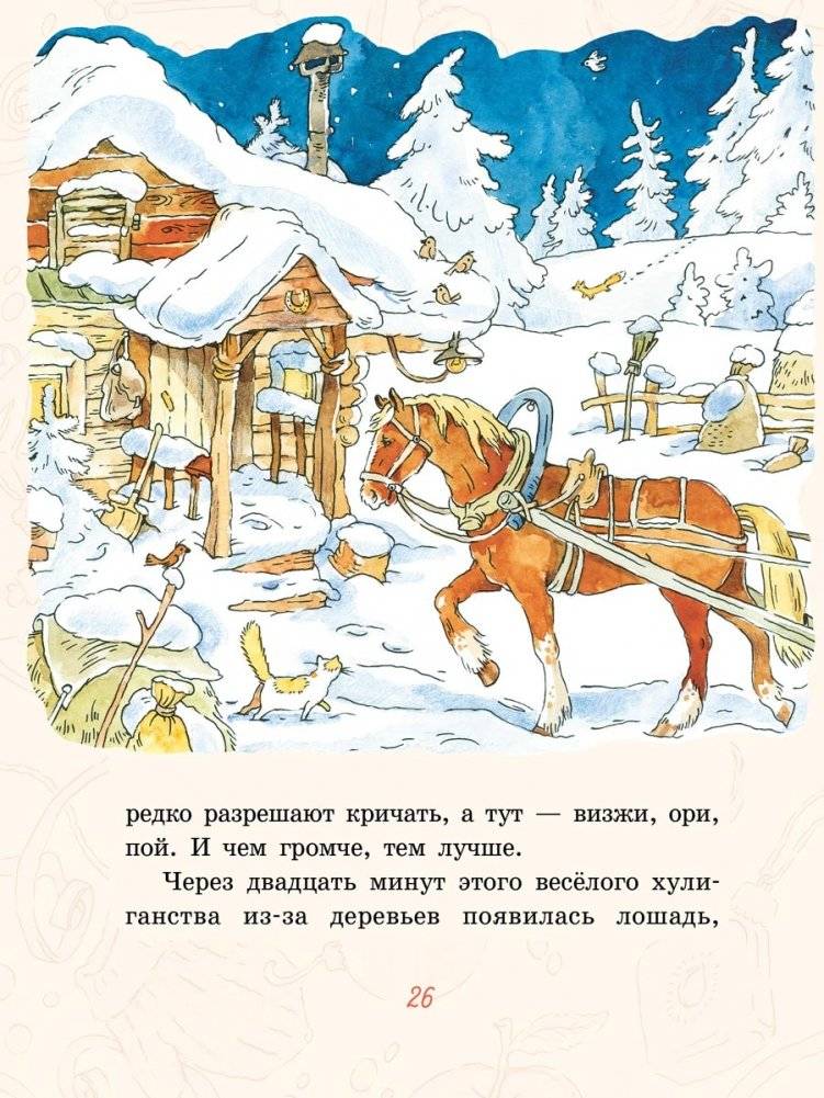 Апельсин фото книги 8