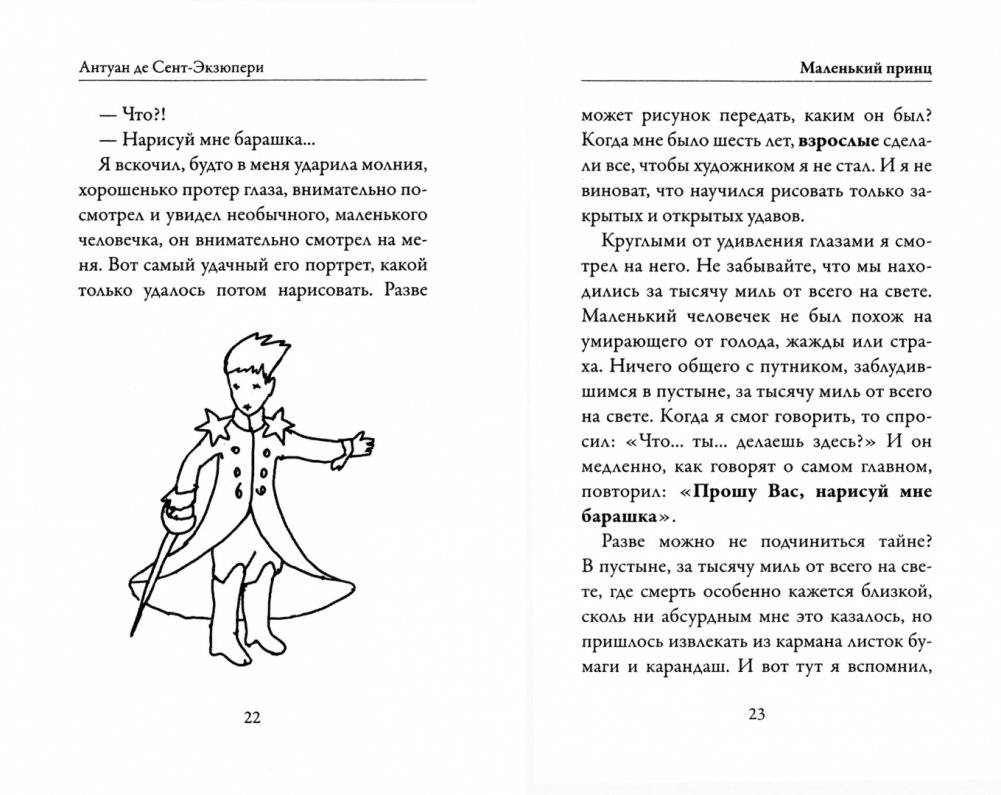 Маленький принц фото книги 4