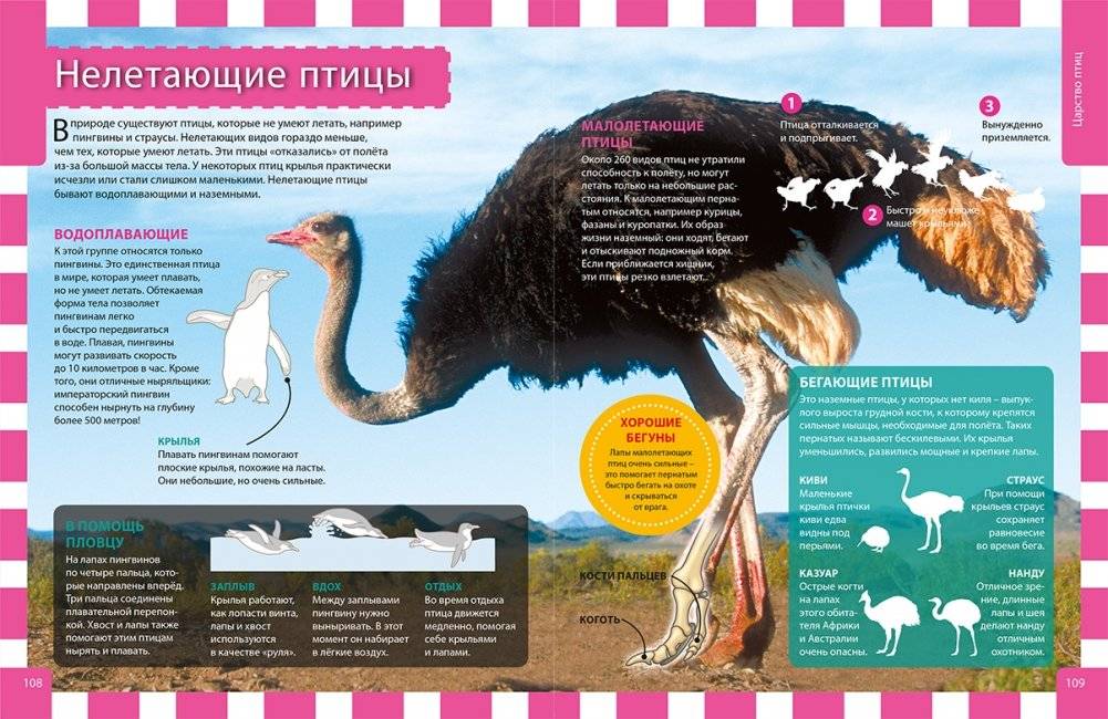 Российская энциклопедия для девочек и мальчиков фото книги 4