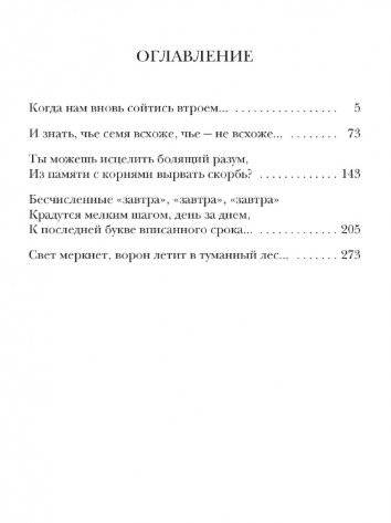 Хроноптика. Книга 2: Алая шкатулка фото книги 2