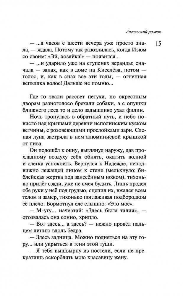 Наполеонов обоз. Книга 3. Ангельский рожок фото книги 2