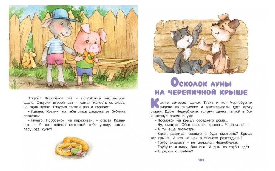 Ромашки в январе фото книги 10