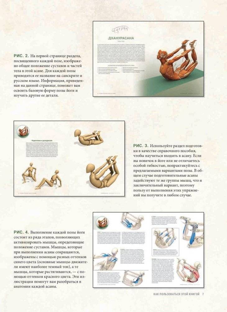 Анатомия прогибаний и скручиваний фото книги 5