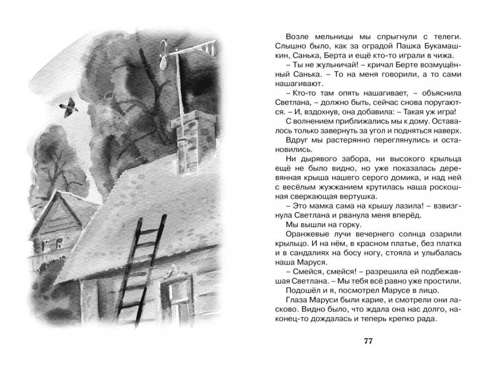 Чук и Гек фото книги 5