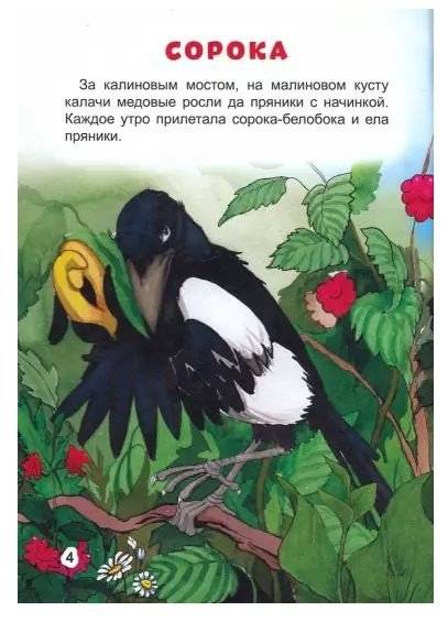 Сорочьи сказки фото книги 2