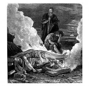 Цезарь фото книги 2