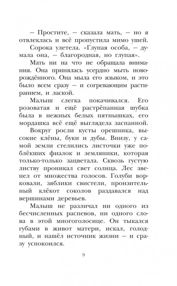 Бемби фото книги 10