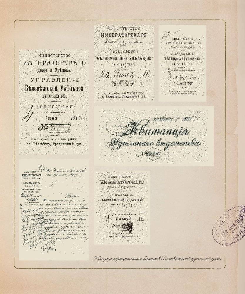 Царские охоты в Беловежской пуще фото книги 4