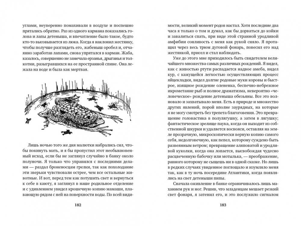 Три билета до Эдвенчер. Под пологом пьяного леса фото книги 8