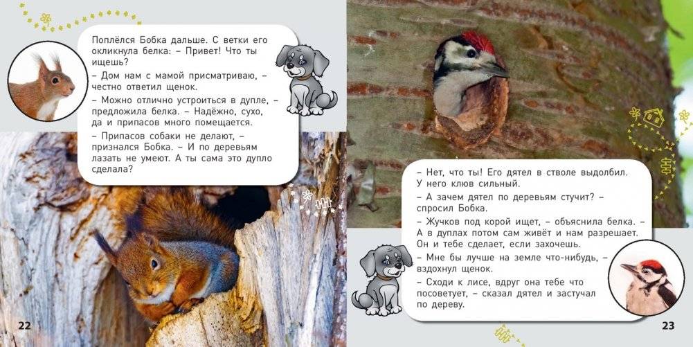 Кто где живёт? фото книги 5