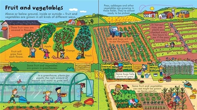 Food фото книги 2