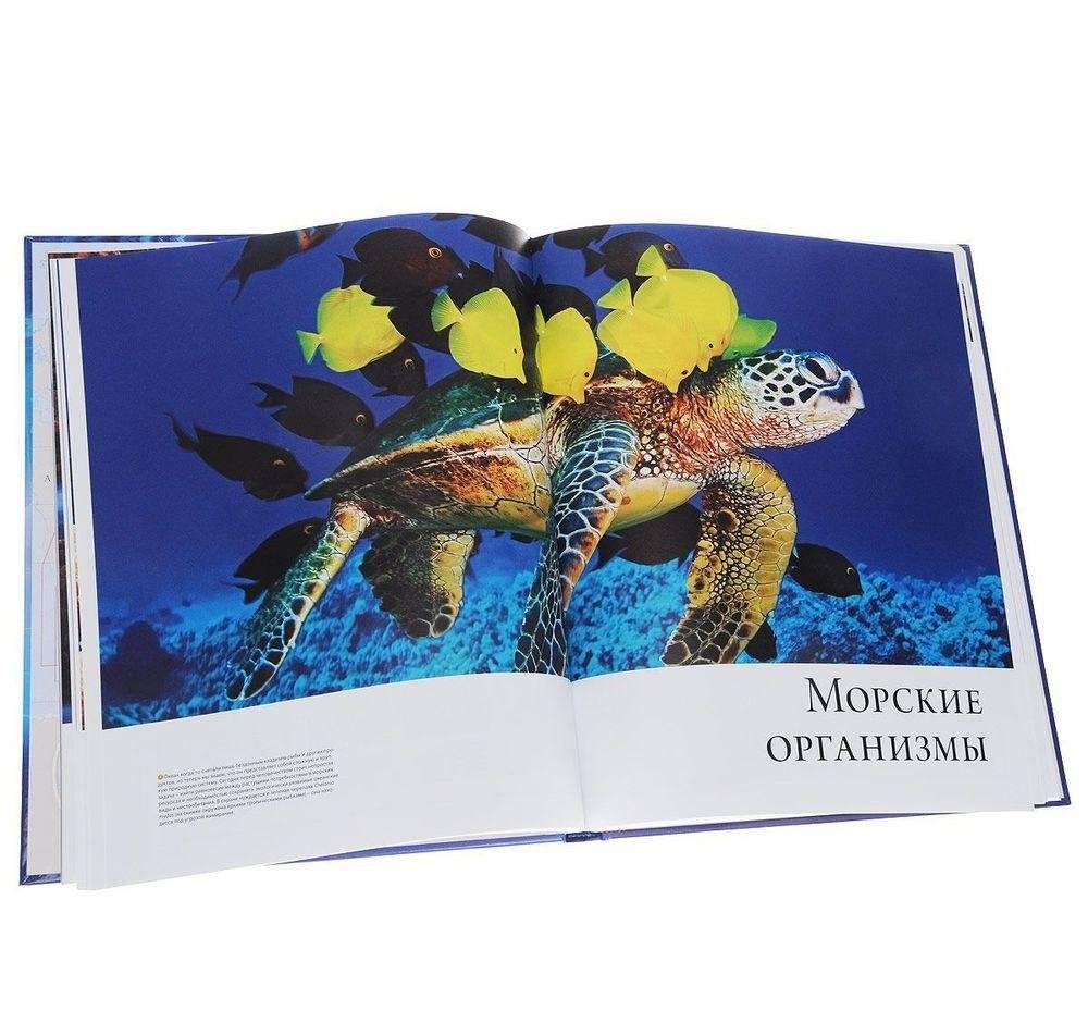 Океаны. Иллюстрированный атлас фото книги 3