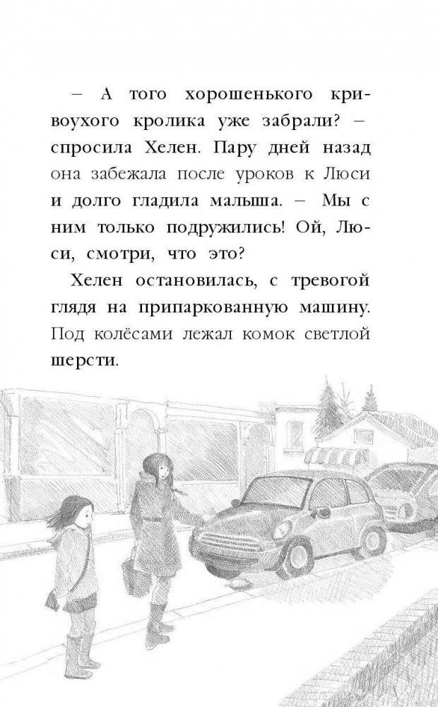 Котенок Сильвер, или Полосатый храбрец фото книги 10