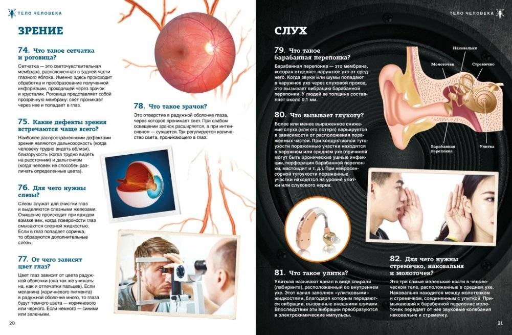Тело человека фото книги 6