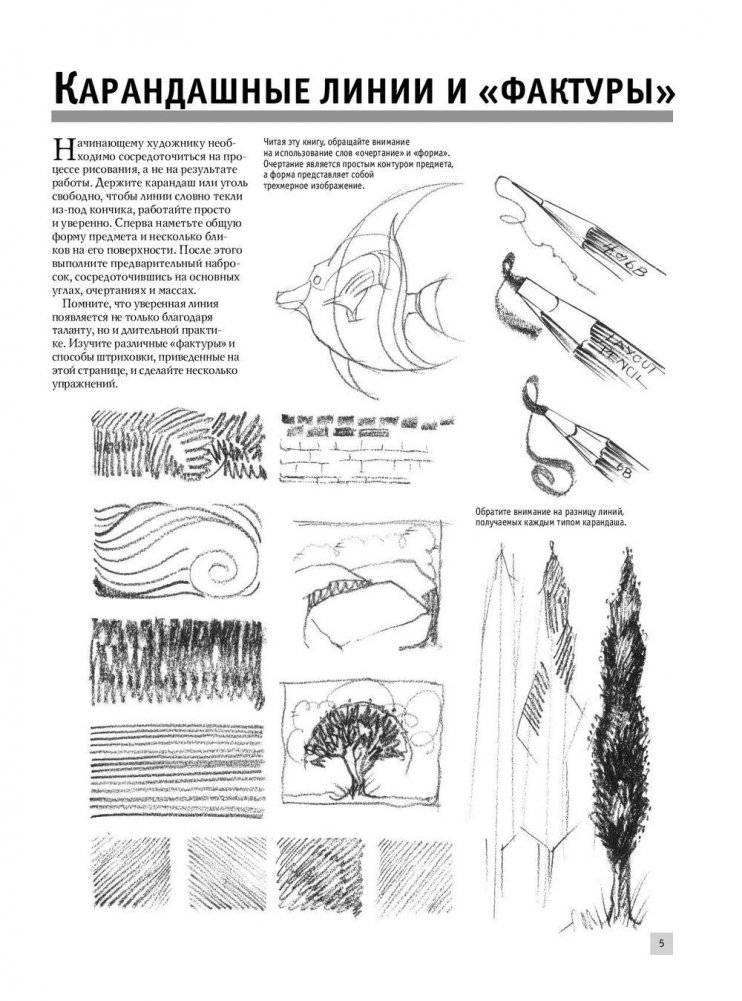 Полный курс рисования фото книги 6