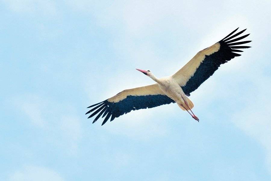 Регионы Беларуси. Минская область. Том 5. Книга 3 фото книги 6