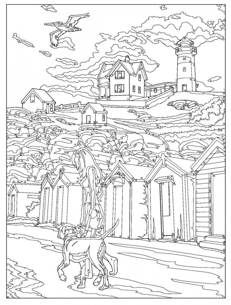 Creative Haven Endless Summer Color by Number фото книги 3