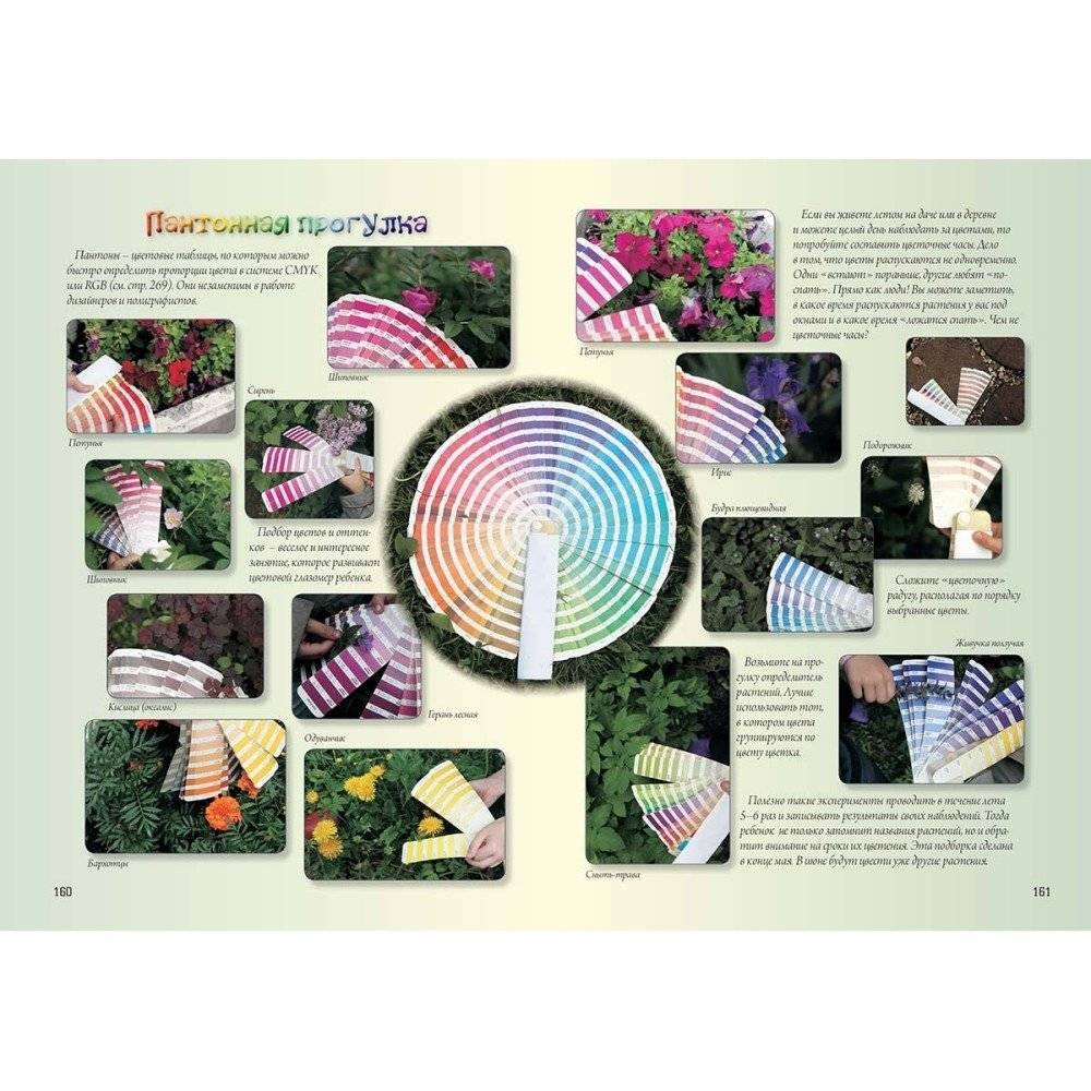 Свет и цвет. По материалам физического кружка фото книги 5