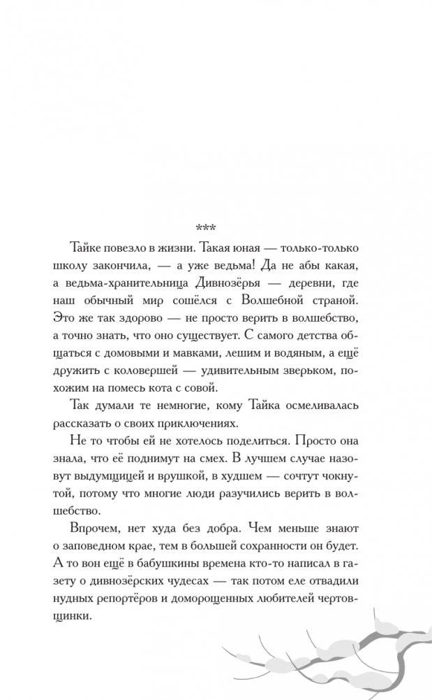 Удивительные сказания Дивнозёрья фото книги 3