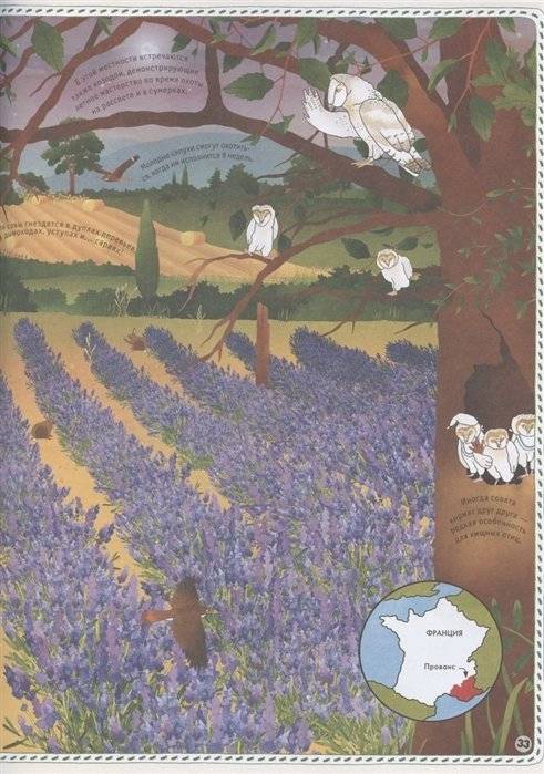 Большой атлас животных в картинках фото книги 8