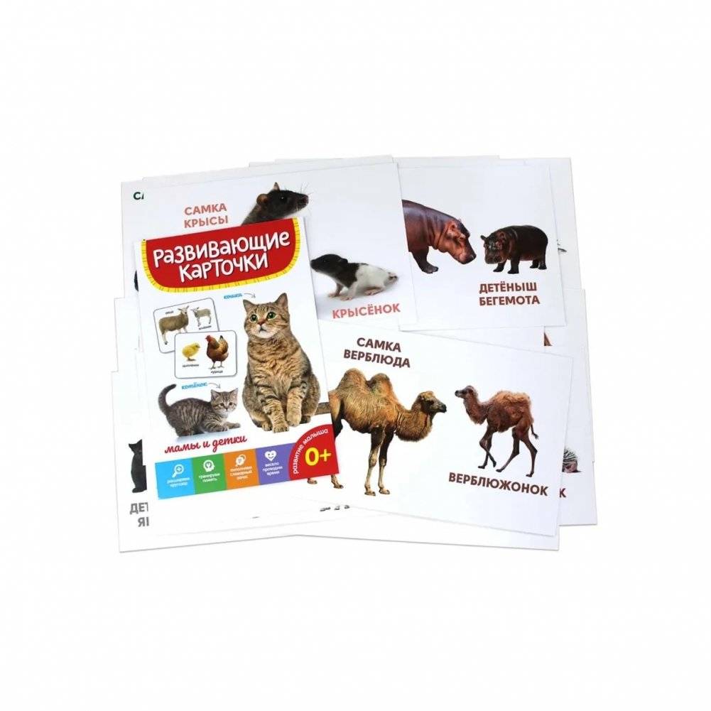 Развивающие карточки. Мамы и детки фото книги 2