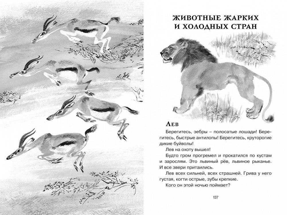 Друзья фото книги 6