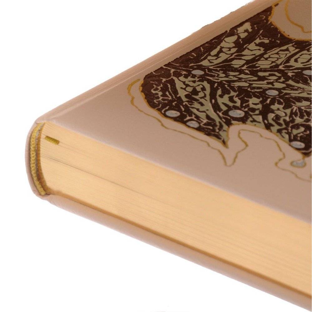 Клен заледенелый (кожаный переплет) фото книги 2