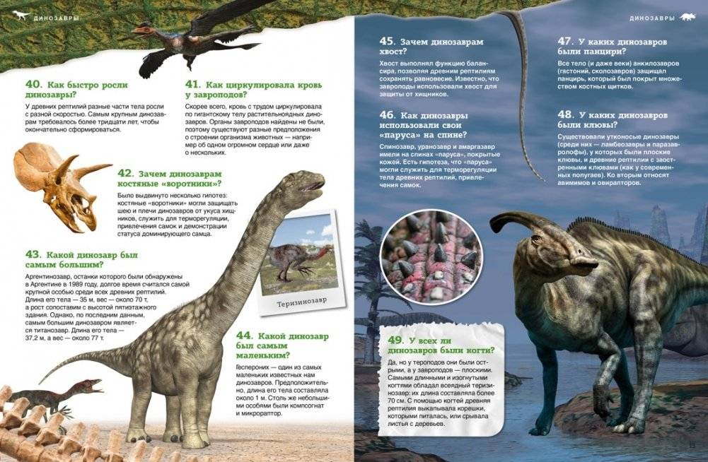 Динозавры фото книги 7