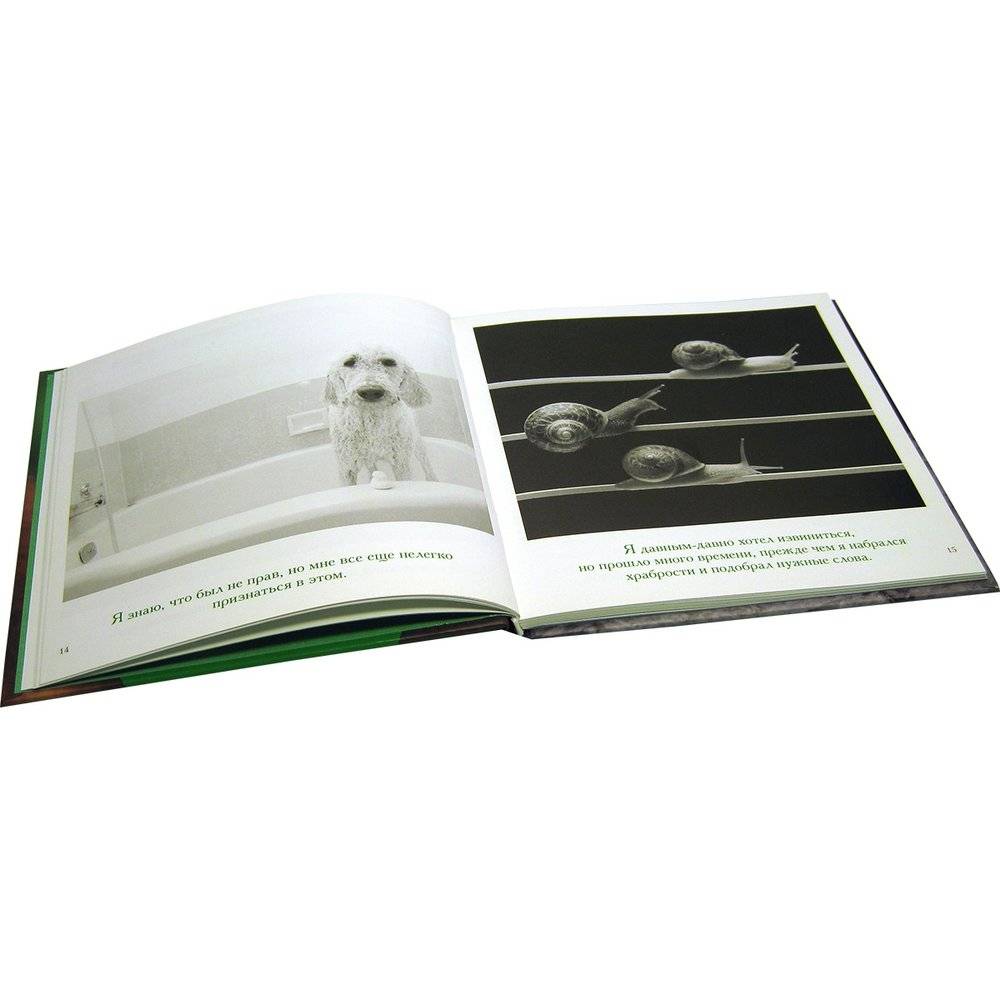 Прости меня... фото книги 3