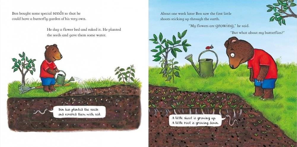 National Trust: Ben Plants a Butterfly Garden фото книги 4