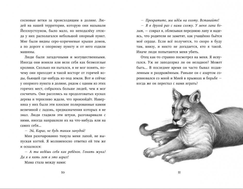 Тайна Холли фото книги 7