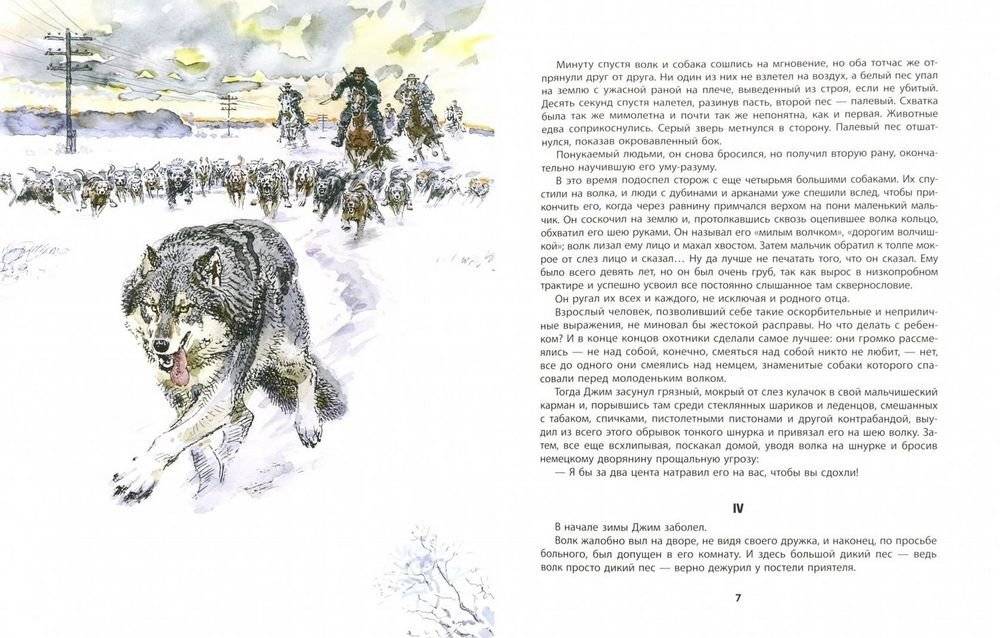 Медвежонок Джонни фото книги 2