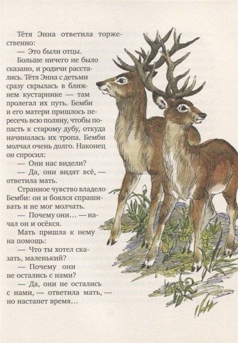 Бемби. Лесная сказка фото книги 5