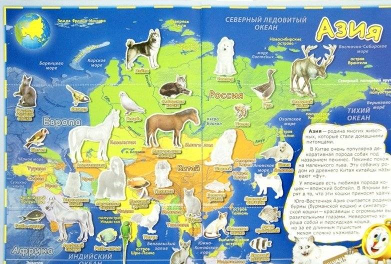 Детский атлас мира с наклейками. Домашние питомцы фото книги 2