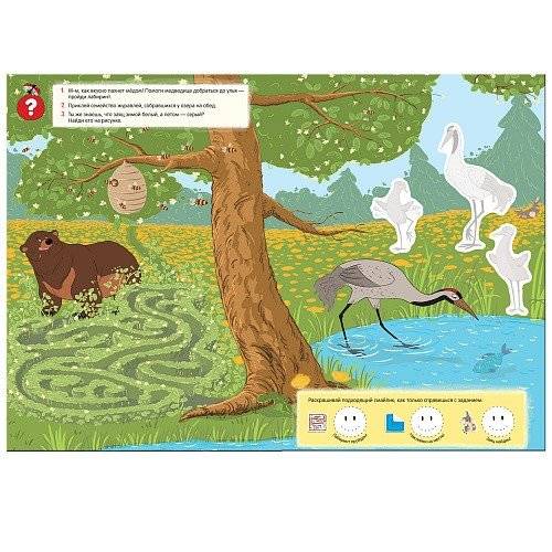 Лесные животные. Лето фото книги 2