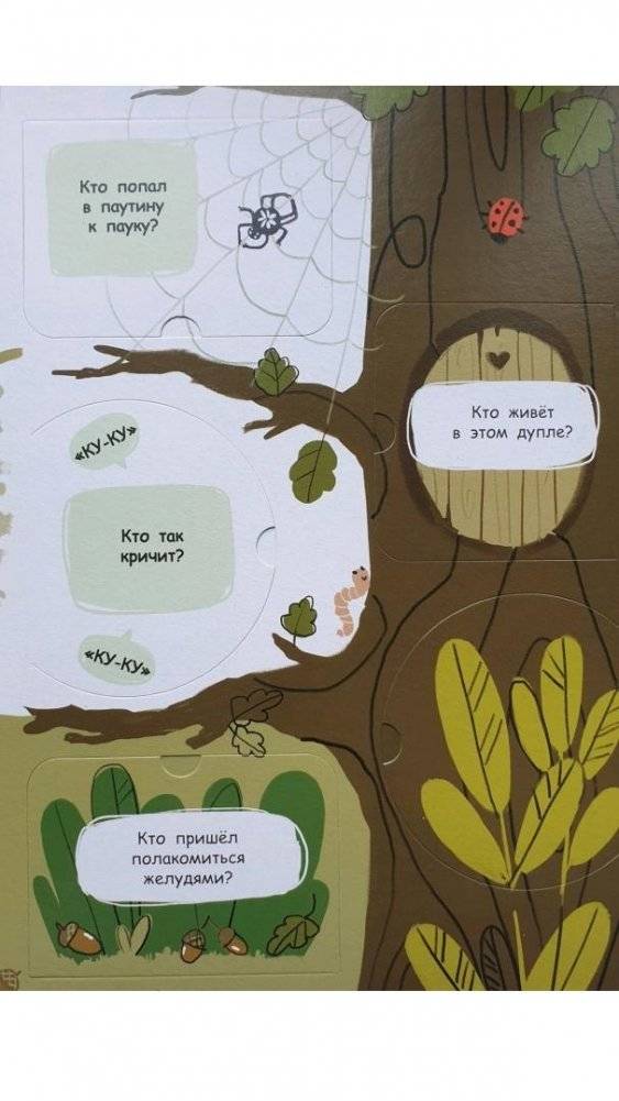 Книжка с окошками. В лесу фото книги 5
