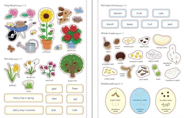 My First Book About How Things Grow фото книги 4