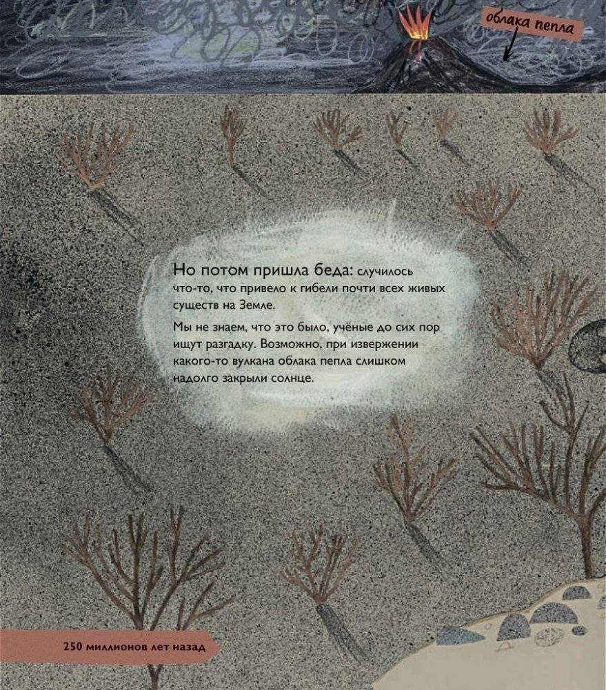 История жизни. Моя первая книга об эволюции фото книги 2