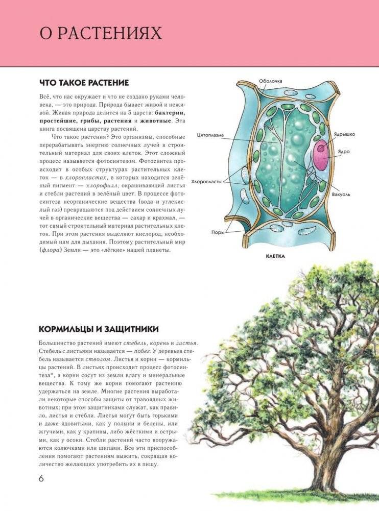 Растения: полная энциклопедия фото книги 5