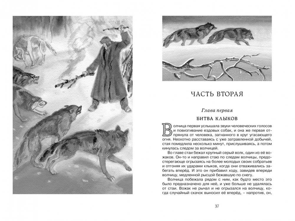 Белый клык фото книги 3