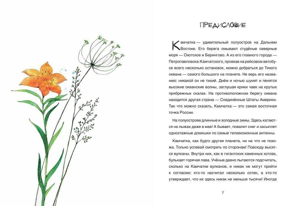 Сказка о храбром богатыре Узоне и его возлюбленной Наюн. По мотивам корякской легенды фото книги 5